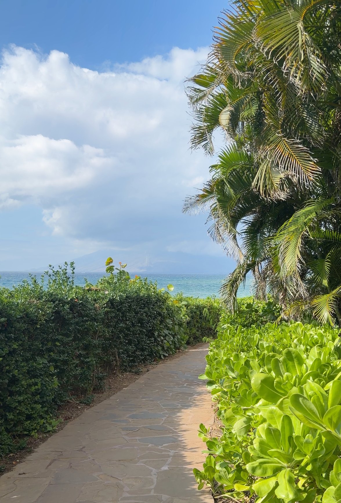 Best Easy Walks on Maui for Non-Hikers
